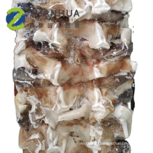 Замороженная китайская шея Хорошая цена Peru Giant Squid Neck 500g